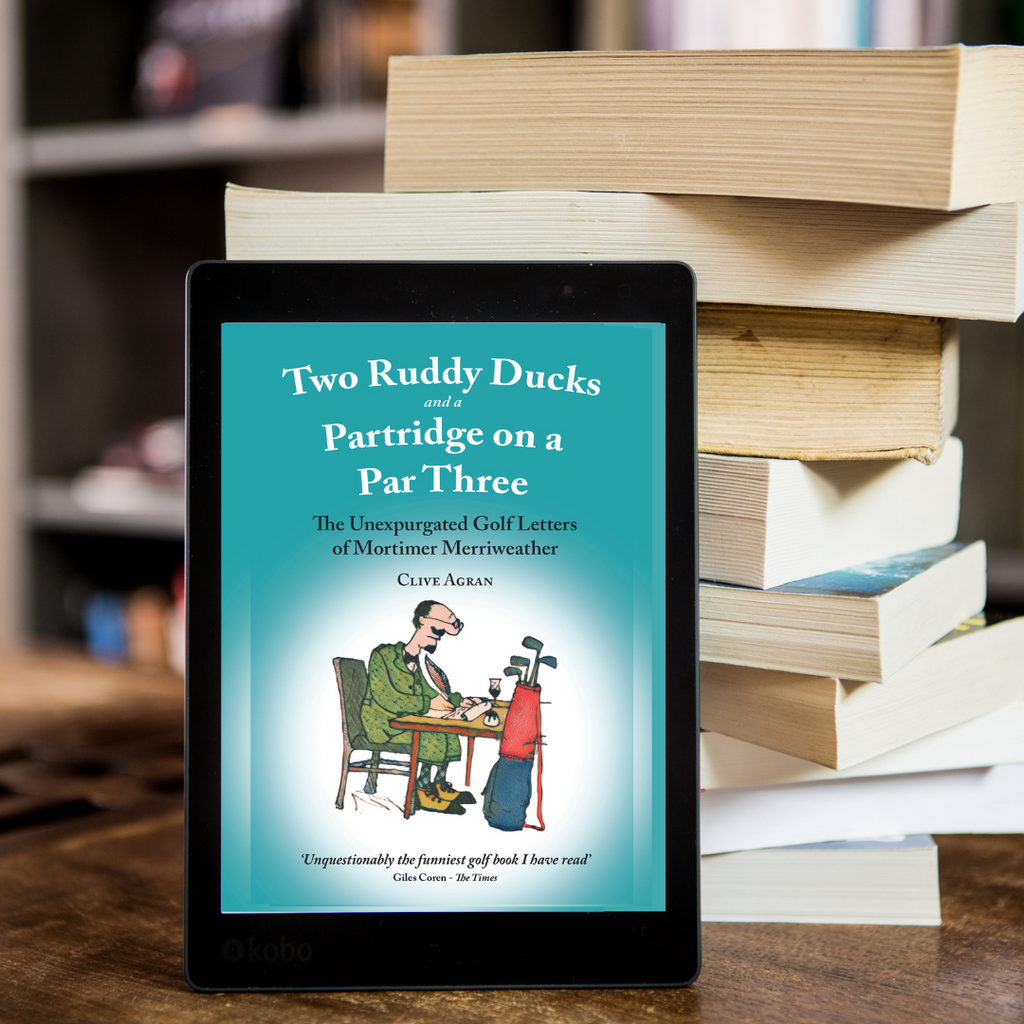 Two Ruddy Ducks ebook published 4 April - available now