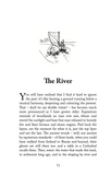 To the Eel Island