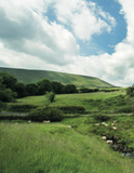 The Forest of Bowland
