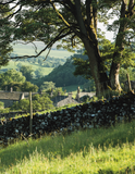 The Forest of Bowland