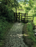 The Forest of Bowland