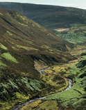 The Forest of Bowland