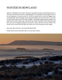 The Forest of Bowland