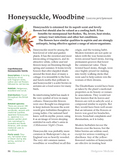 Hedgerow Medicine