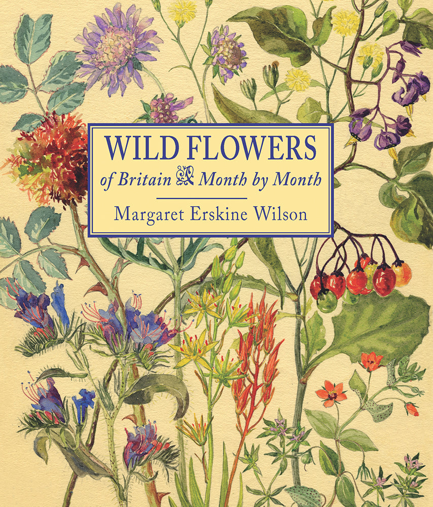 british wild plants Wild Flowers of Britain – merlinunwin