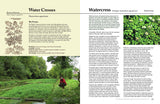 The Herbalist's Bible