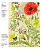 Wild Flowers of Britain