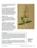 Wayside Medicine