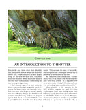 The Otter