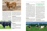 Everything you Wanted to Know about the Countryside