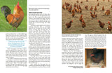 Everything you Wanted to Know about the Countryside