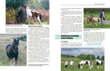 Everything you Wanted to Know about the Countryside