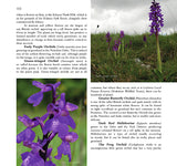 Wildlife of the Pennine Hills