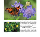 Wildlife of the Pennine Hills