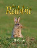 The Rabbit