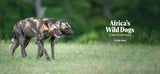 Africa's Wild Dogs