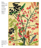 Wild Flowers of Britain