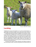 Much Ado About Mutton