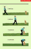 Training Your Puppy