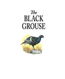 The Black Grouse