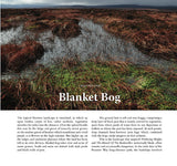 Wildlife of the Pennine Hills