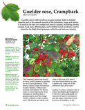 Hedgerow Medicine