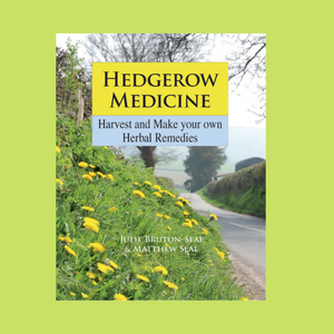 Rosehip Syrup - Hedgerow Medicines to boost wellness this autumn