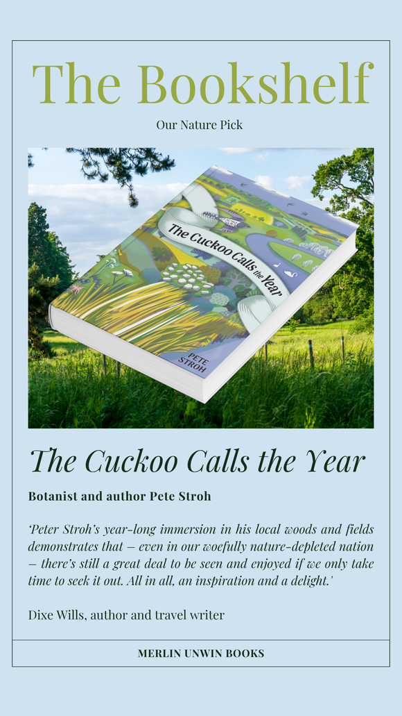 An extract from The Cuckoo Calls The Year by Pete Stroh