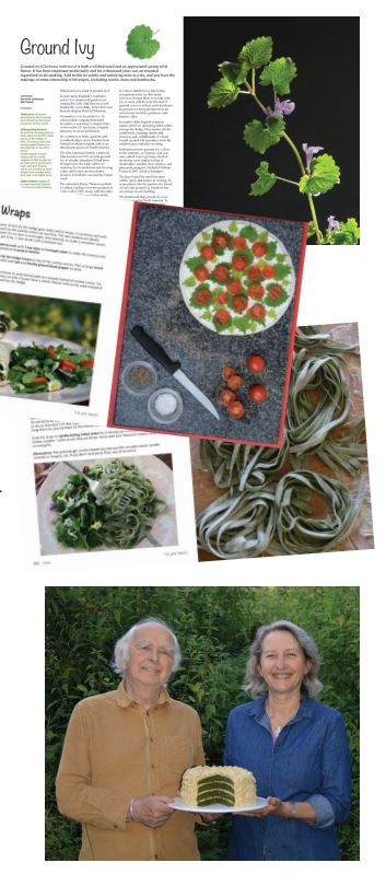 New Book: Eat your Weeds! an update from the authors