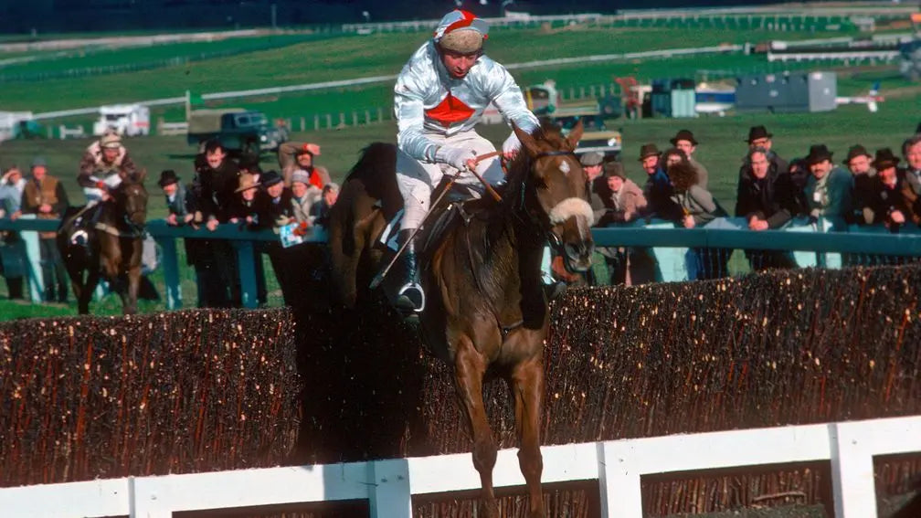 It's Cheltenham Races today! David Ashforth shares a story from his bo ...