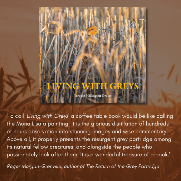 A review for Living with Greys by Roger Morgan-Grenville