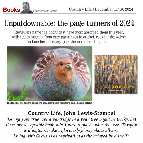 Unputdownable: the page turners of 2024 - Living with Greys