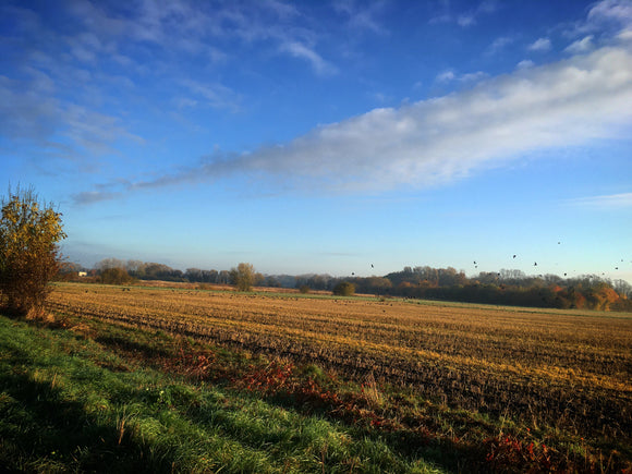 The Fens, Cambridge -  An account by Charles Moseley - To Everything a Season