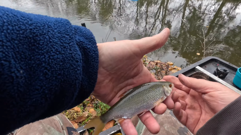 A day match fishing with Godders Piscatorial - video and book review (End Peg by Peter May)