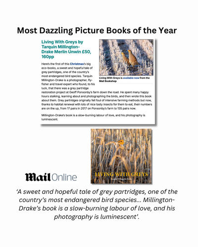 The Daily Mail's most dazzling picture books of 2024 (Living with Greys)