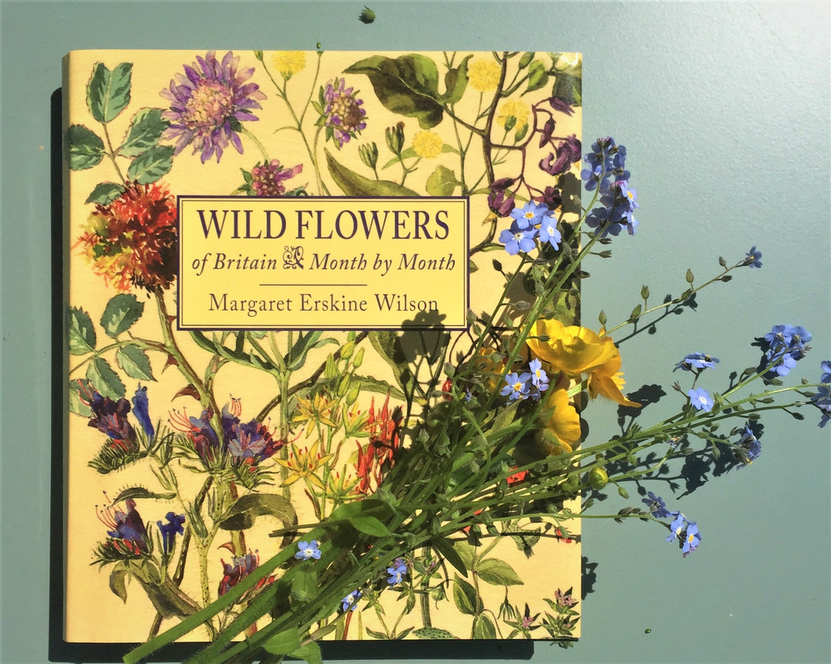 A celebration of the Wild Flowers of Britain, month by month merlinunwin