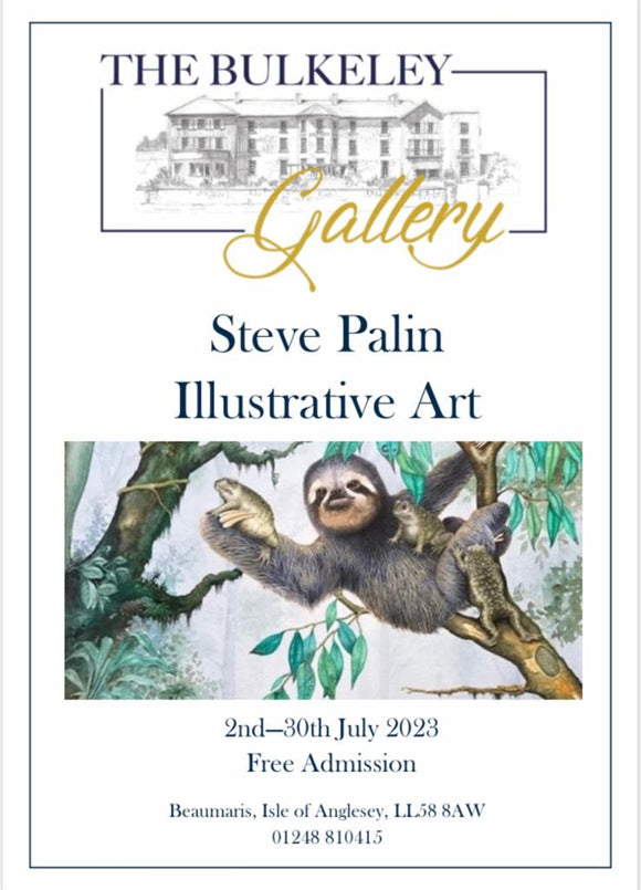 Anglesey Art Exhibition - Steve Palin - July 2023 at The Bulkeley Gallery