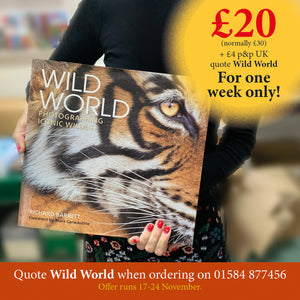 Break into the WILD WORLD - SPECIAL OFFER