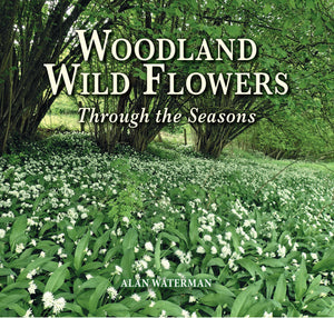 Published today: Woodland Wild Flowers - Through the Seasons