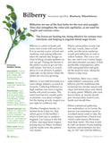 Hedgerow Medicine
