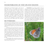 Wildlife of the Pennine Hills