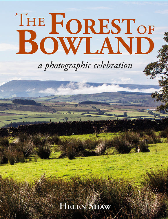 The Forest of Bowland