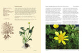 The Herbalist's Bible