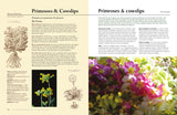 The Herbalist's Bible