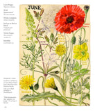 Wild Flowers of Britain