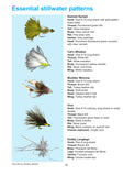 How to Flyfish