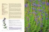 The Herbalist's Bible