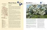 The Herbalist's Bible