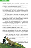 Training Your Puppy
