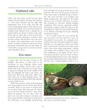 The Otter